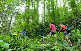 TJHiker family and private trips